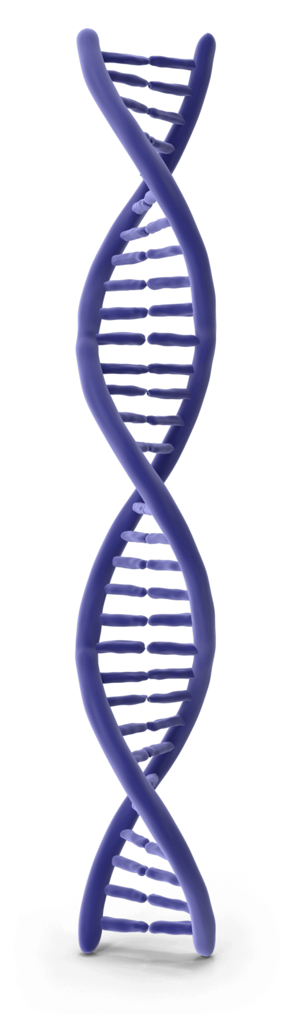 dna